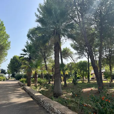 Holiday home Casette Masseria La Camardia Sava