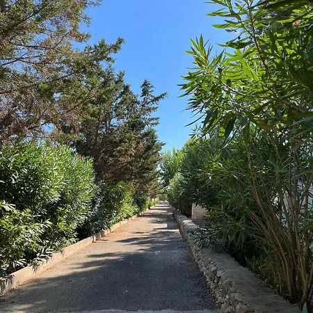 Casette Masseria La Camardia Holiday home *
